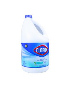 Clorox 128 oz (1Gal.) Scented Ocean Breeze